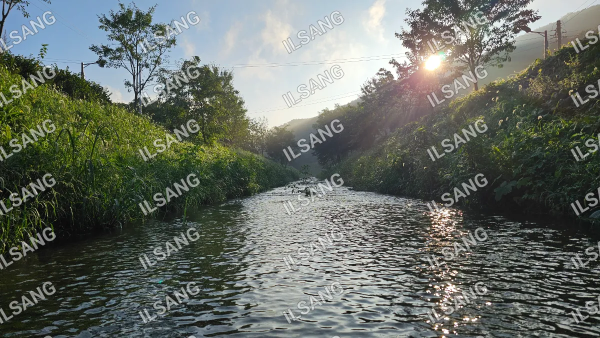 A river with a sun shining on it.