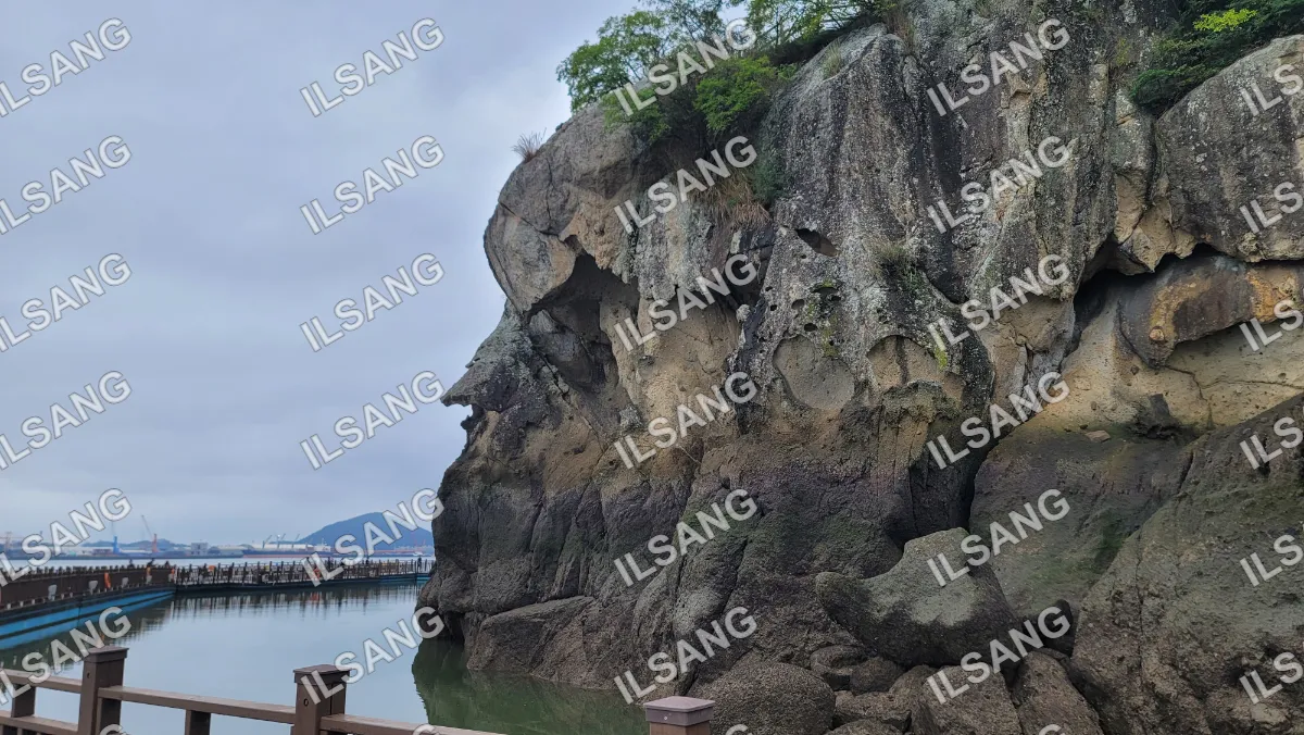 A rocky cliff overlooking a body of water.