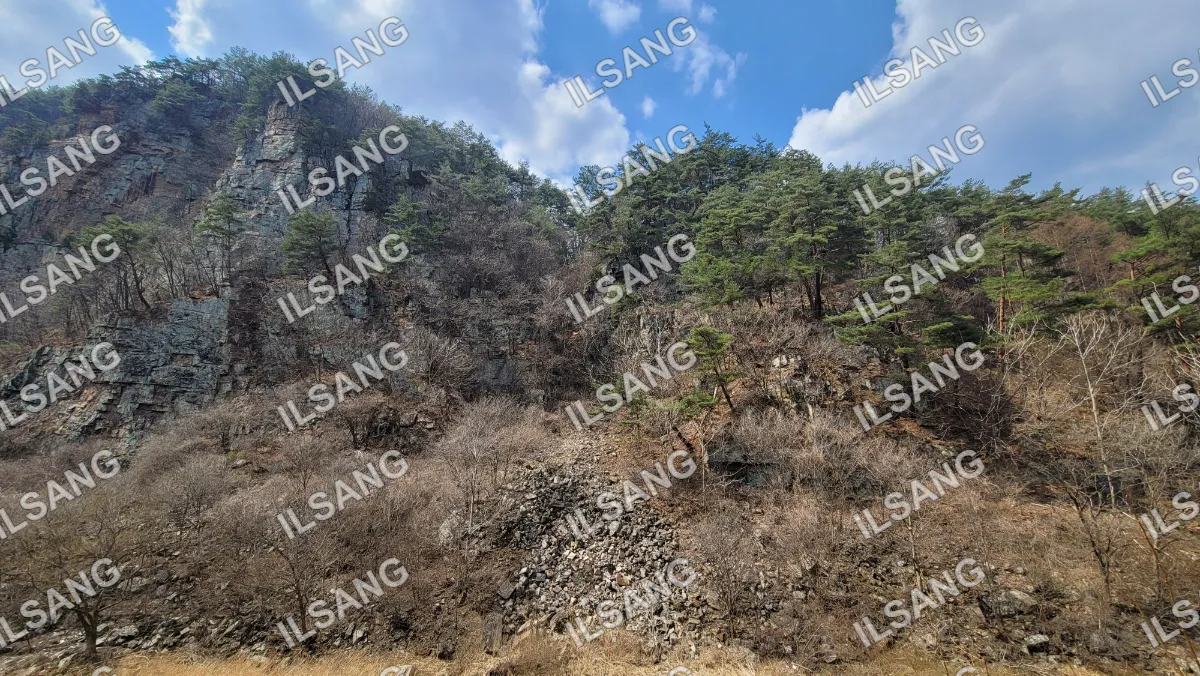 A rocky hillside with trees and a blue sky.