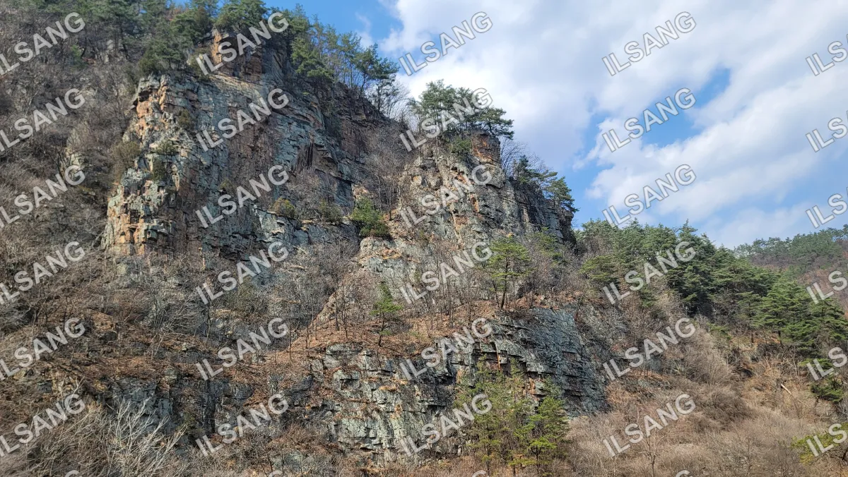 A rocky hillside with trees and a blue sky.