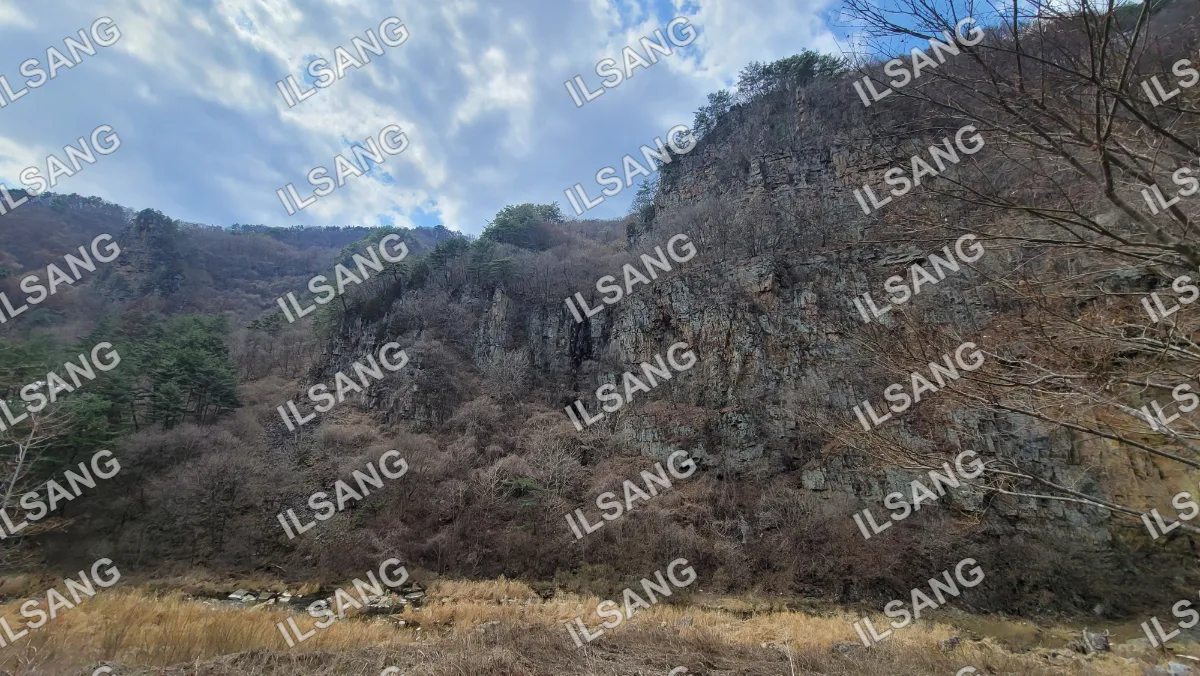 A rocky hillside with trees and a cloudy sky.