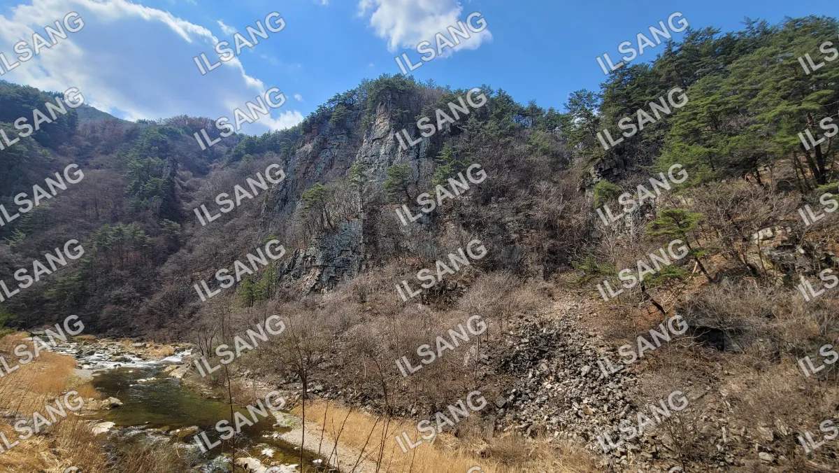 A rocky hillside with trees and a river in the foreground.
