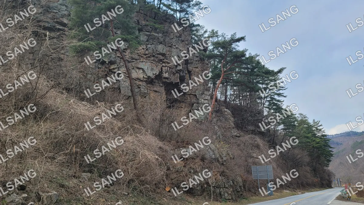 A rocky hillside with trees and a sign.