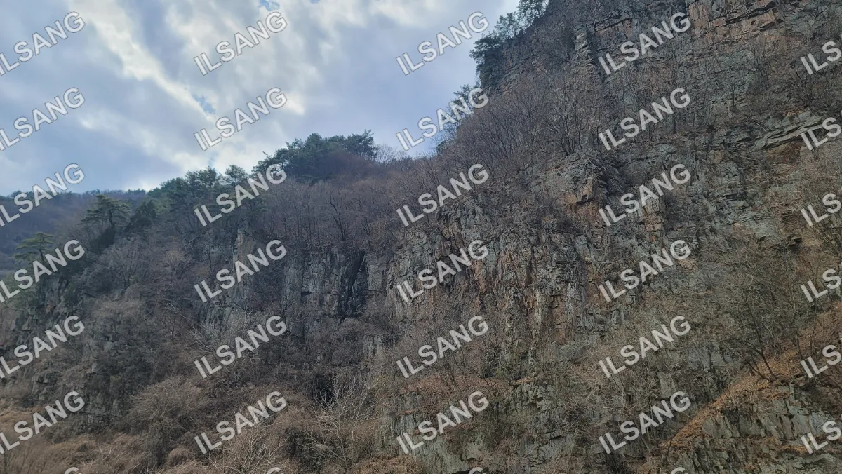 A rocky mountain with trees and a sky background.