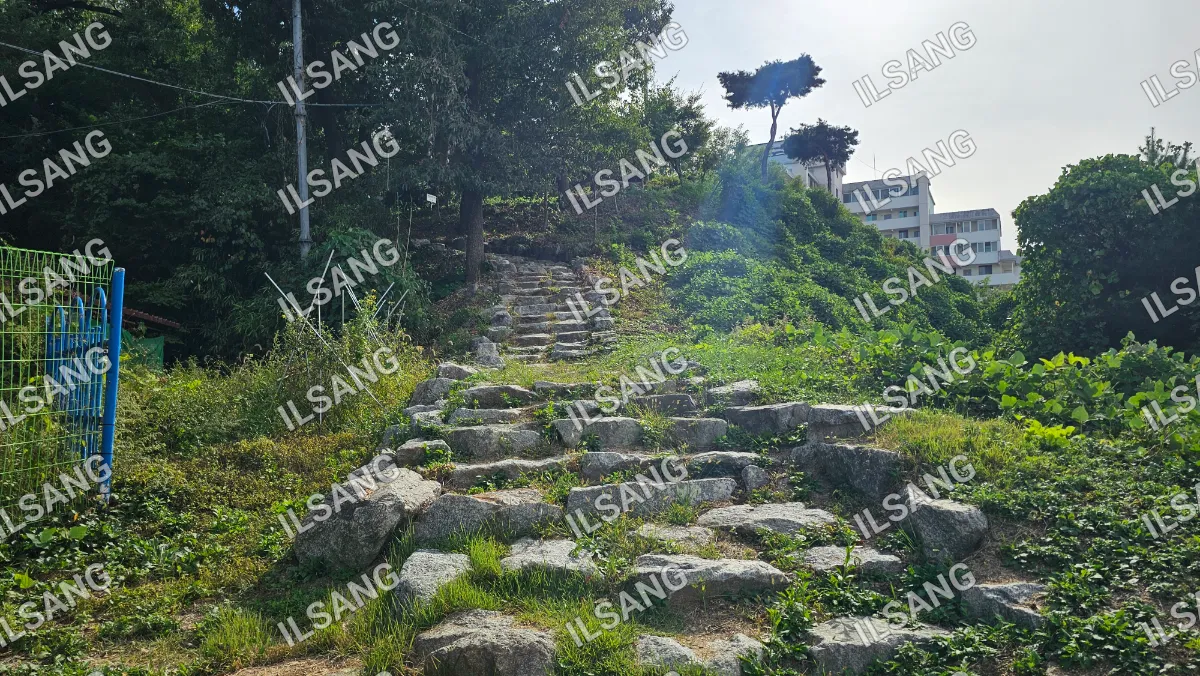 A set of stone steps leading up a hill.
