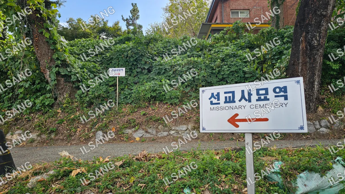 A sign is posted on a hillside, pointing to a missionary center.