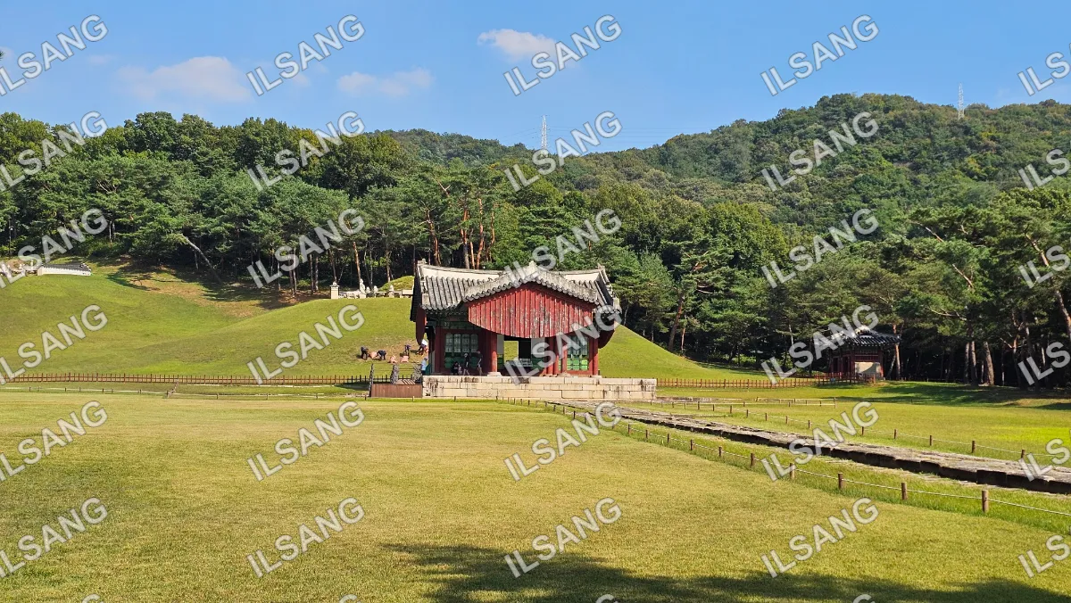 A small red building with a white roof is located in a grassy area.