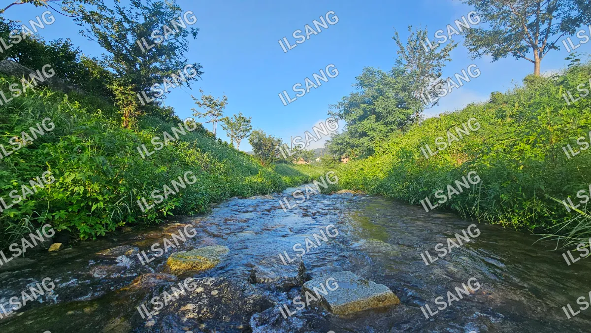 A small stream of water with rocks and trees in the background.