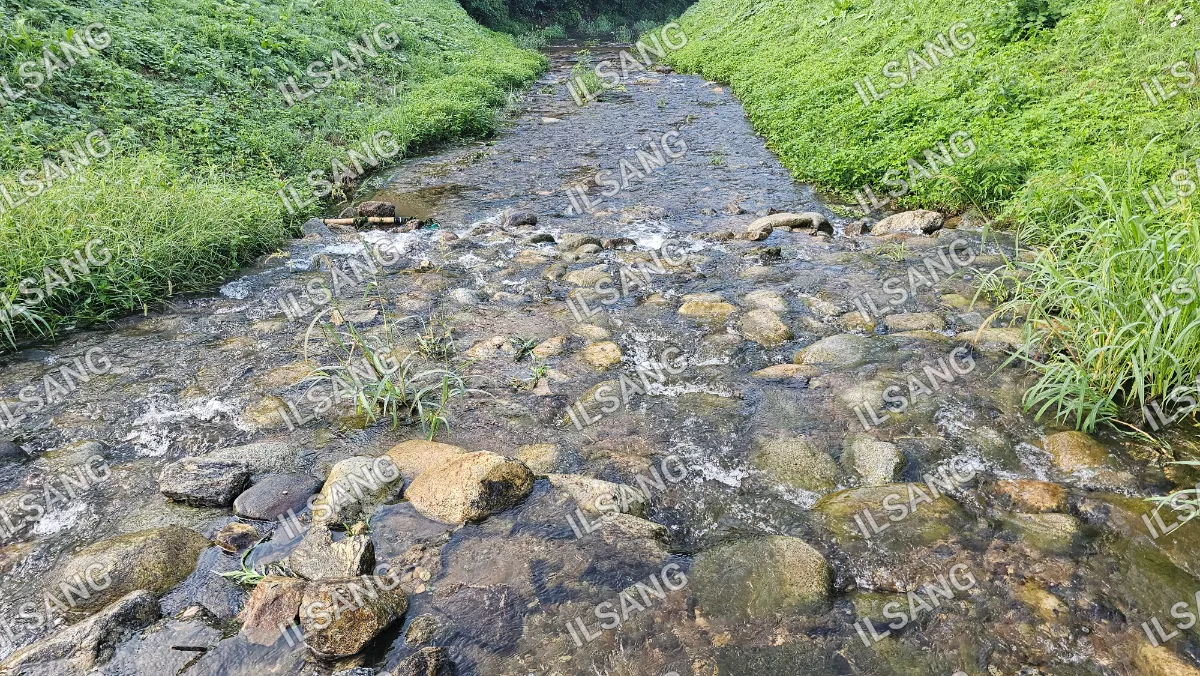A small stream of water with rocks in it.