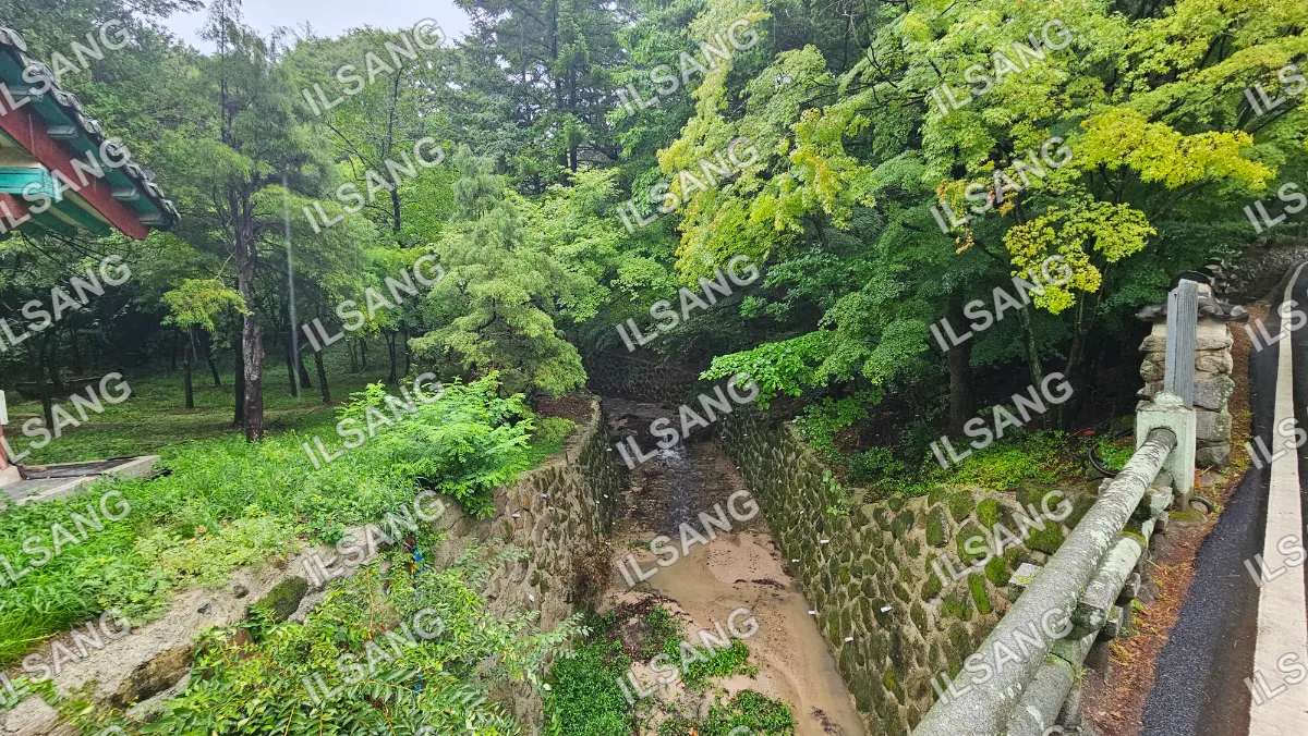 A small waterfall in a forest with a stone wall and a dirt path.