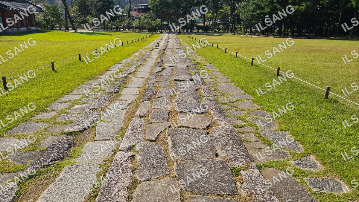 A stone pathway with grass on the sides.