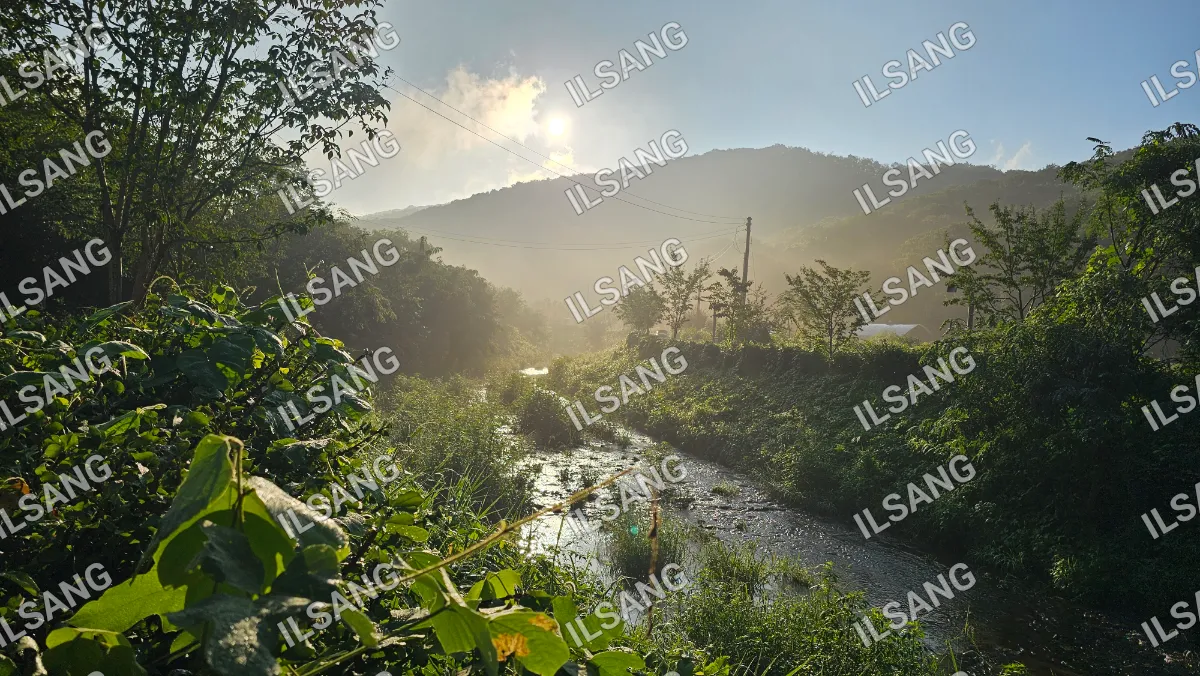 A stream of water with a sun shining on it.