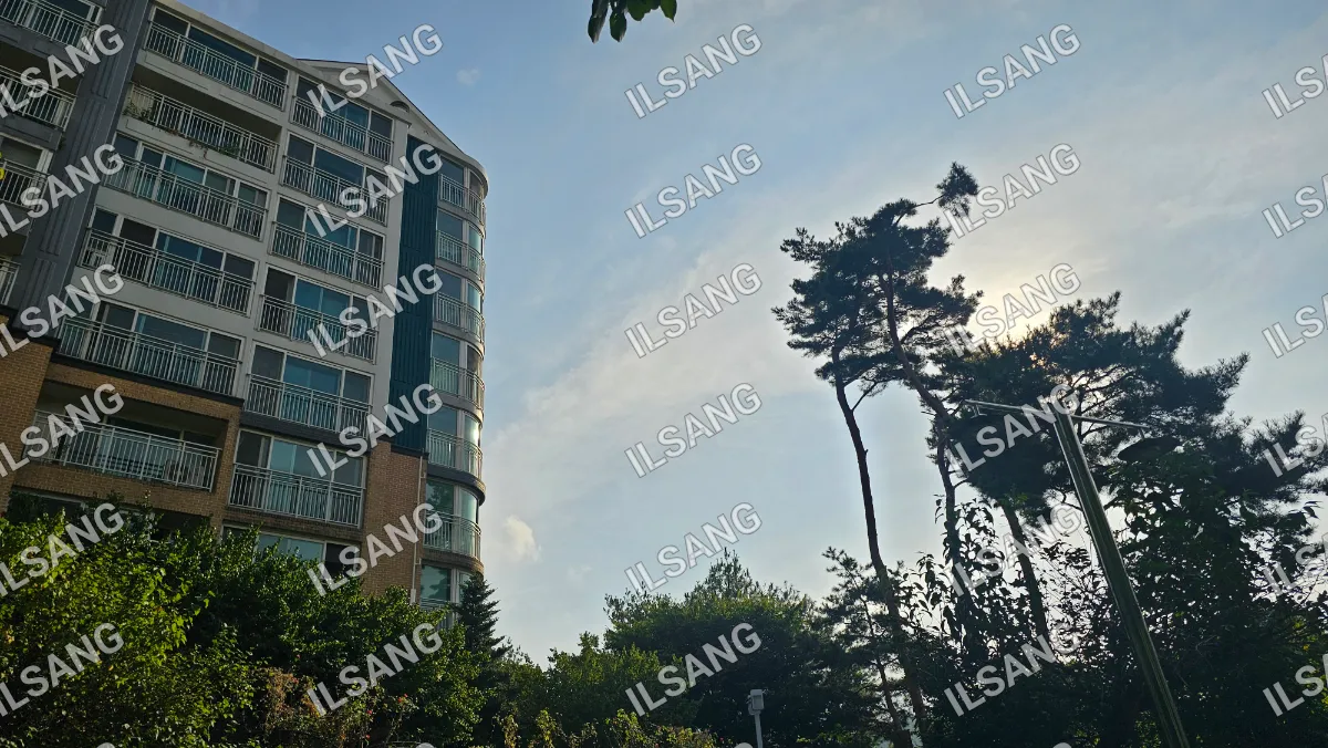 A tall building with a green roof and a tree in front of it.