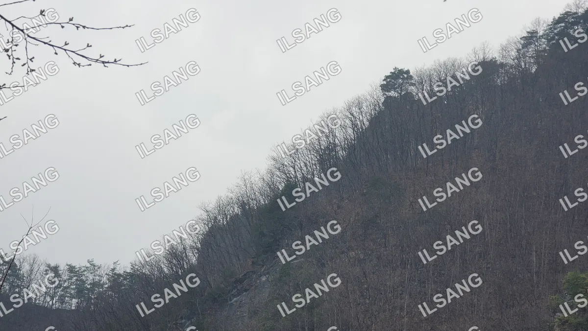 A tree covered hillside with a cloudy sky.