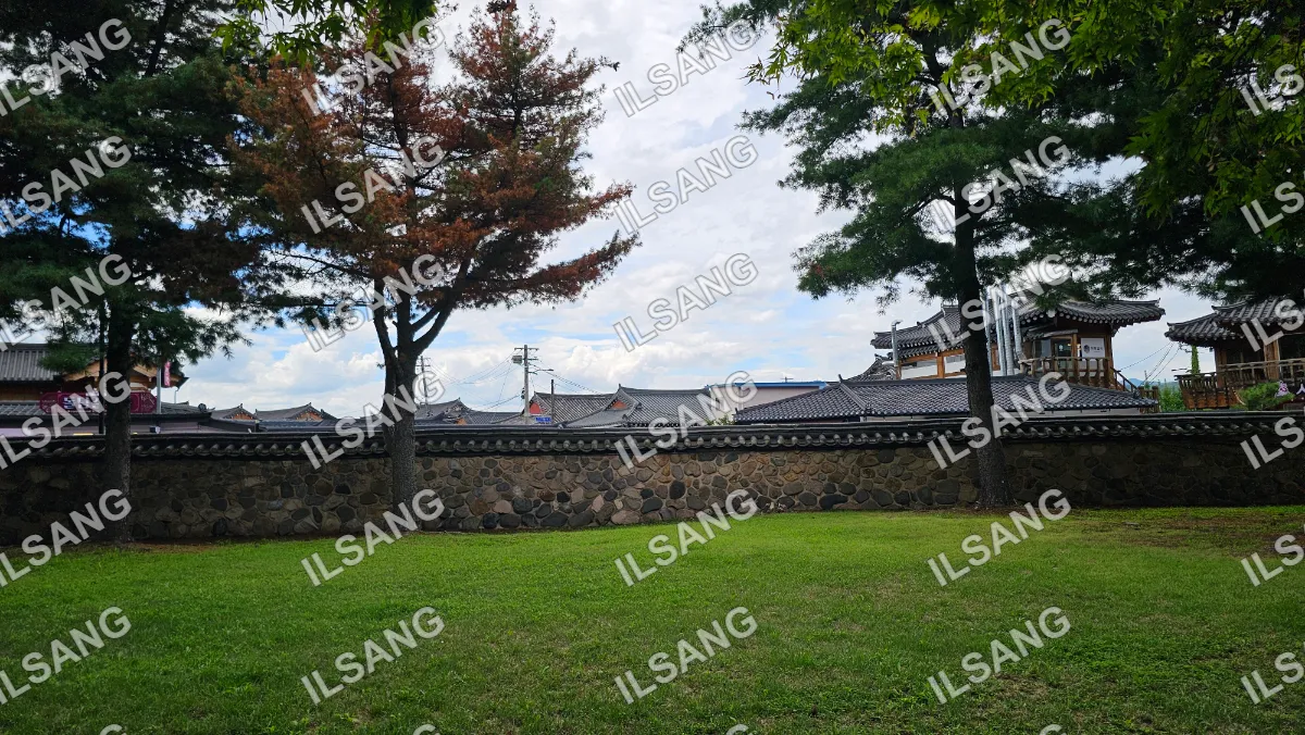 A tree in front of a stone wall.