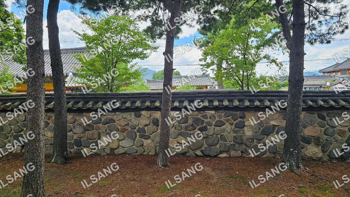 A tree is growing in front of a stone wall.