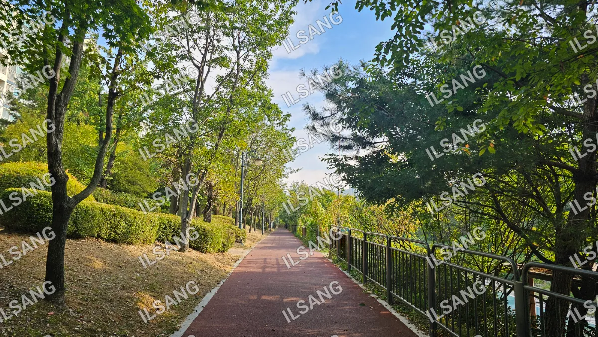 A tree lined pathway with a fence on the side.