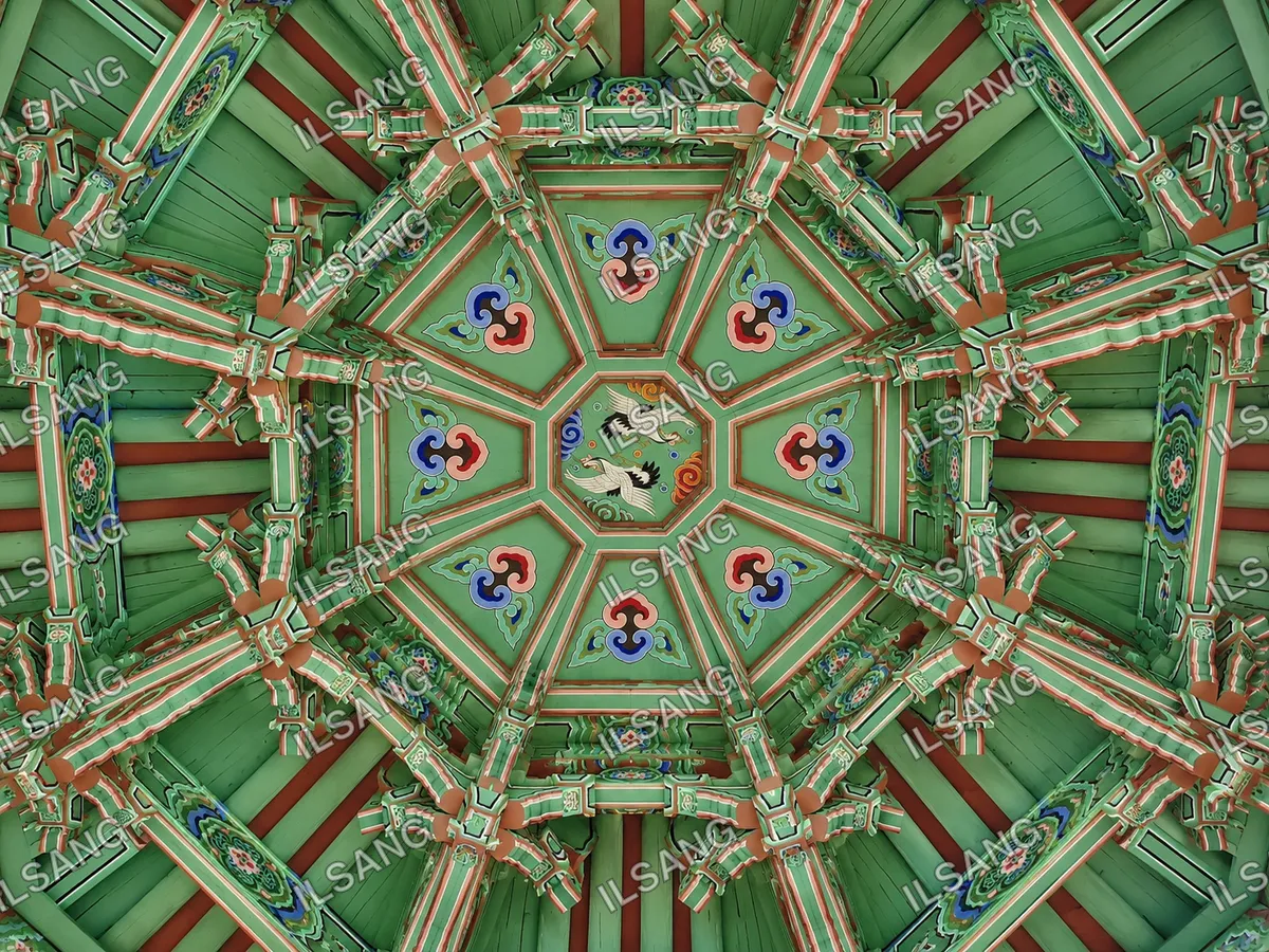A dancheong-painted pavilion ceiling with crane motifs, seen from below, at the National Museum of Korea.