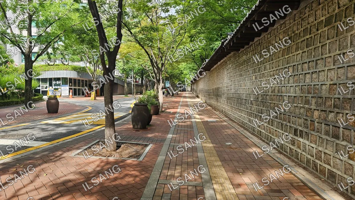 A brick sidewalk with trees and potted plants.