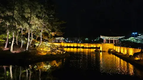 A beautifully lit park at night with a bridge over