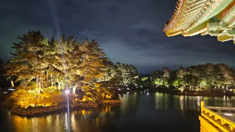 A beautifully lit park at night with a pagoda in