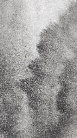 A black and white photo of a carpet with a