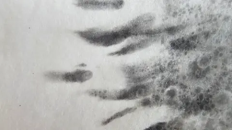 A black and white photo of a fingerprint