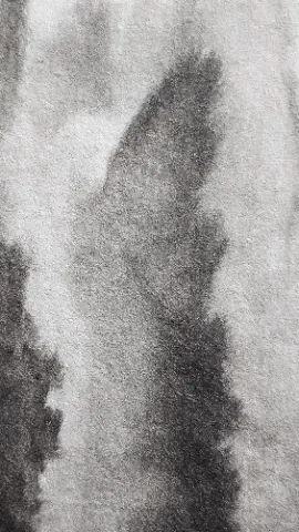 A black and white photo of a grayish-white cloth