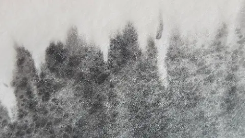A black and white photo of a mountain