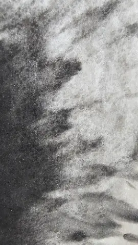 A black and white photo of a piece of cloth