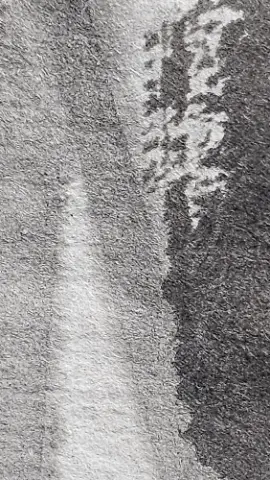 A black and white photo of a tree branch