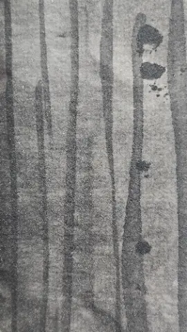 A black and white photo of a tree with a