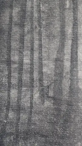 A black and white photo of a tree with a