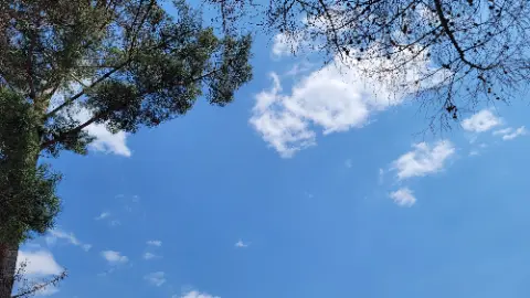 A blue sky with clouds and trees in the background