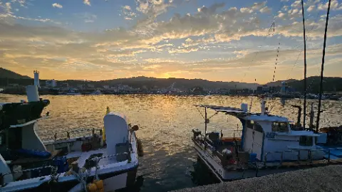 A boat is docked in a harbor with a beautiful