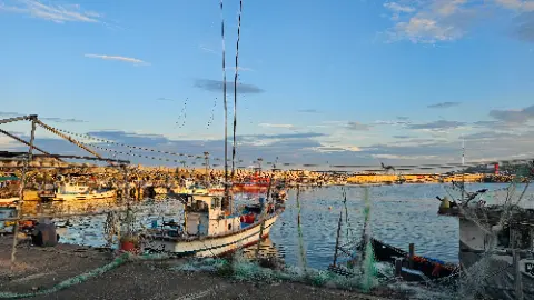 A boat is docked in a harbor with other boats
