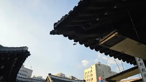 A building with a roof that has a bird on