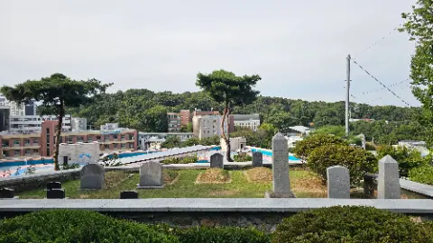 A cemetery with a tree in the middle and headstones