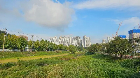 A city skyline is visible in the distance