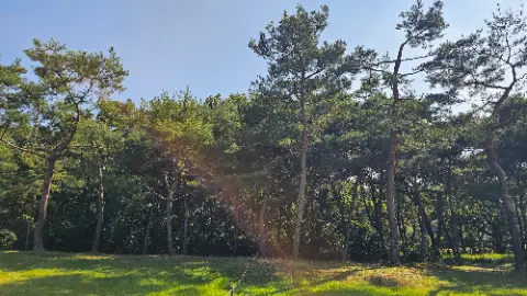 A clear day with a blue sky and a few