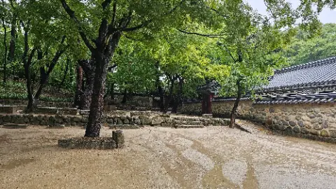 A dirt pathway in a park with a tree and