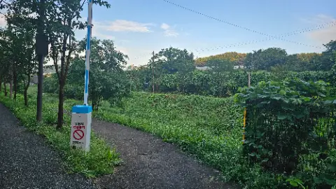 A dirt road with a sign on the side