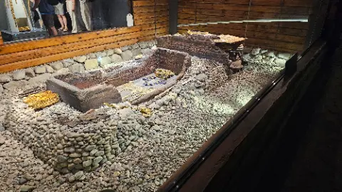 A display of a snake in a glass case
