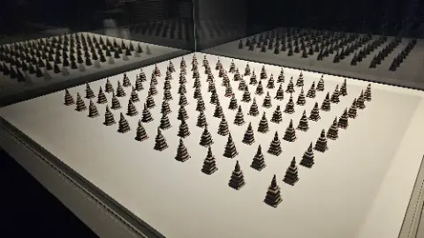 A display of small trees in a white box