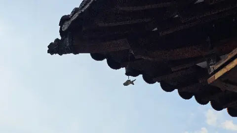A fish is hanging from a roof