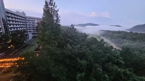 A foggy mountain range with a tree in the foreground