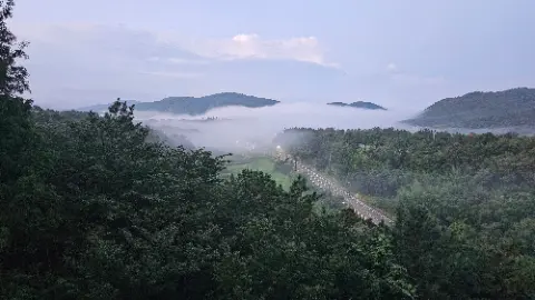 A foggy mountain road with a forest on the side