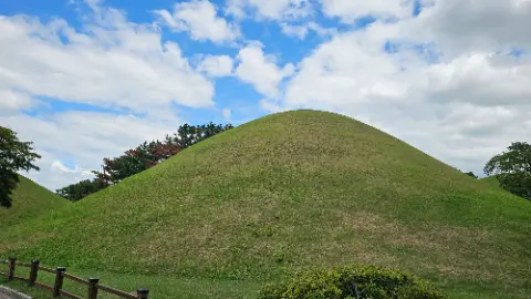 A grassy hill with a tree on top of it