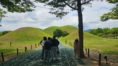 A group of people standing on a path in front