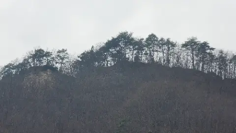 A hillside with trees and a sky background
